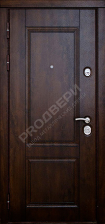 Фотография «Дверь Порошок №31»